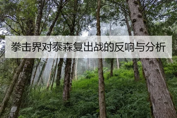拳击界对泰森复出战的反响与分析