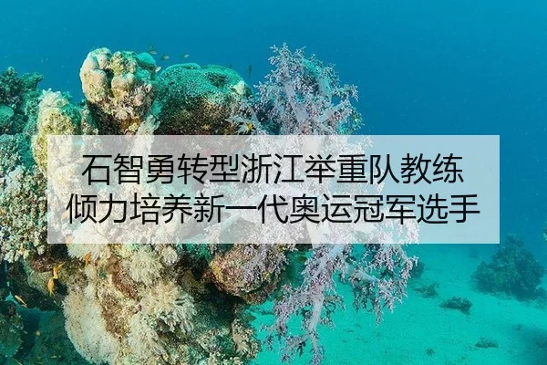 石智勇转型浙江举重队教练 倾力培养新一代奥运冠军选手